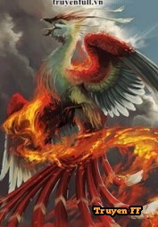 Đấu La Chi Thiên Cơ Phượng Hoàng - Truyenff