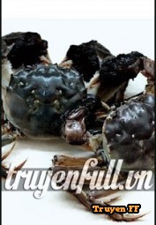 Đế Vương Hồ Dương Trừng - Truyenff