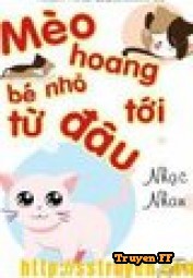 Mèo Hoang Bé Nhỏ Từ Đâu Tới - Truyenff