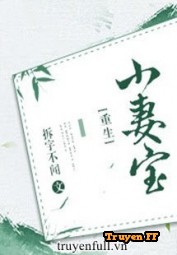 Tiểu Thê Bảo - Truyenff