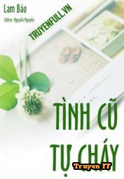 Tình Cũ Tự Cháy - Truyenff