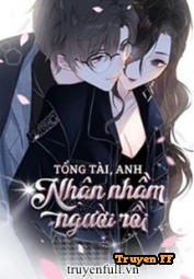 Tổng Tài Anh Nhận Nhầm Người Rồi - Truyenff